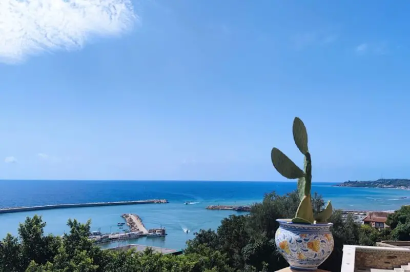 a cactus on a ledge overlooking a body of water