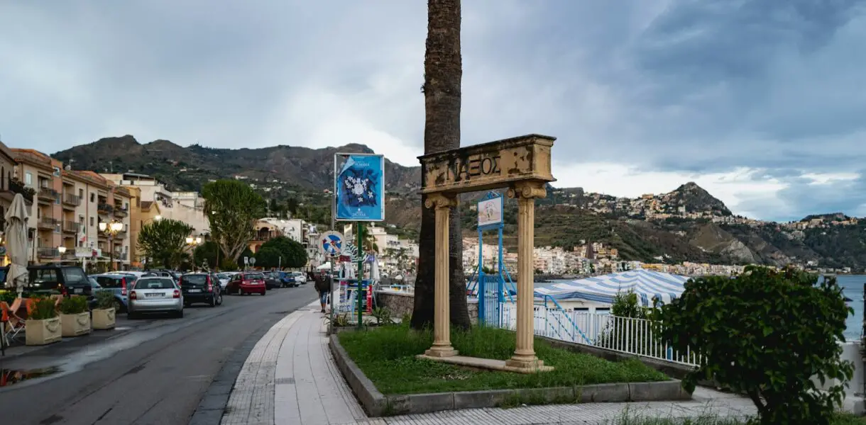 a street with a palm tree on the side of it