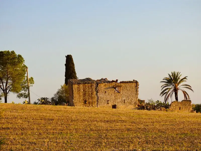 An old building in a field with trees in the background