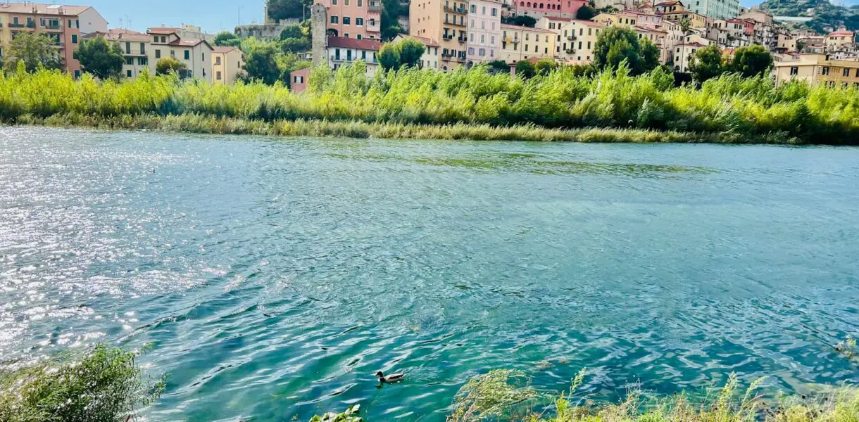 a body of water with buildings in the background