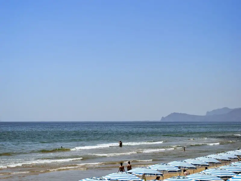 a beach with many umbrellas