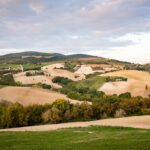 a landscape with trees and grass