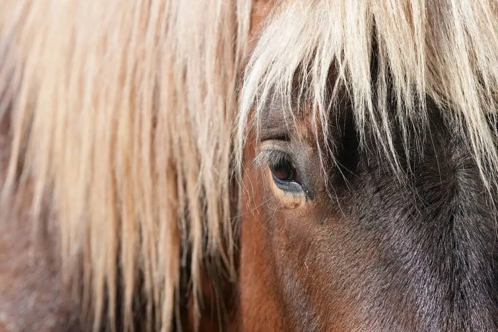 Jak podróż do Indii zmieniła moje spojrzenie na życie