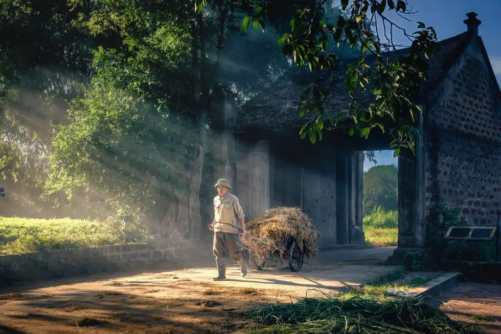 Weekendowe wypady do najpiękniejszych wsi w Polsce