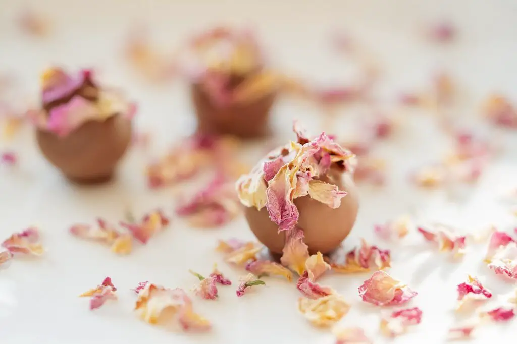 Istria – miasteczka, winnice i trufle